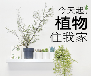 贈書《今天起，植物住我家》抽獎活動